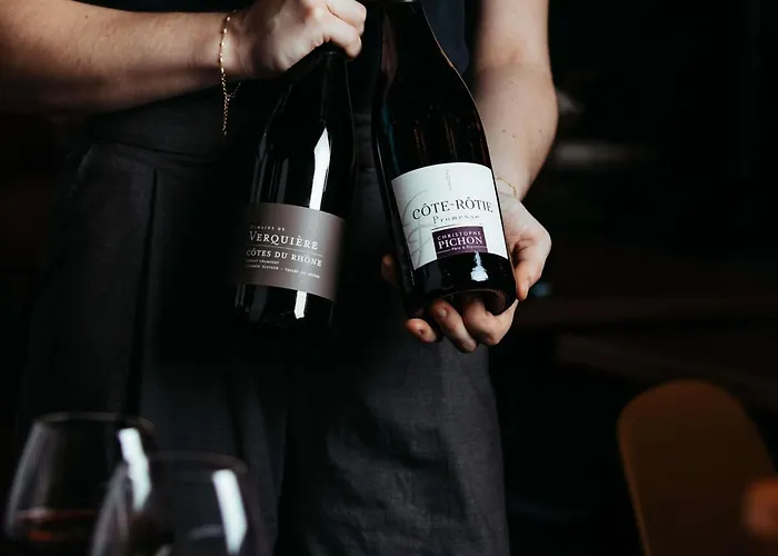 Otel Novotel Centre-confluence Bord De Saone