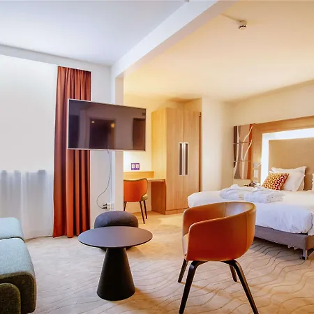 酒店 Novotel Centre-confluence Bord De Saone 里昂